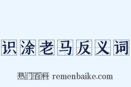 识涂老马反义词是什么意思的图片